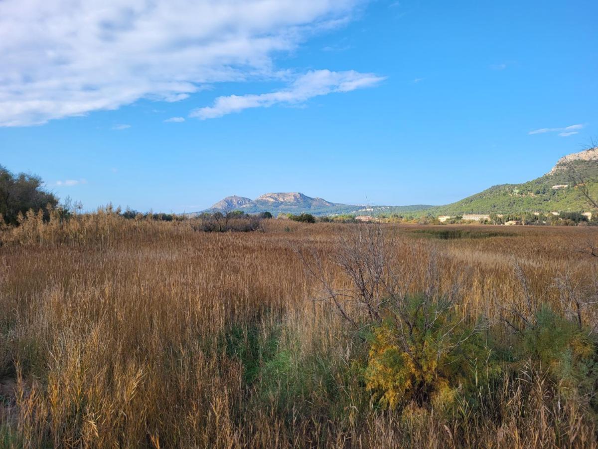 Apartamento Estartit Argonavis L'Estartit Bagian luar foto